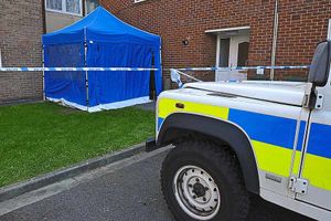 A police car at the scene of the murder in Wellington in 2014