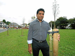 Supporting image for story: £4k taxpayer bill after 'mindless' Wolverhampton tree attacks
