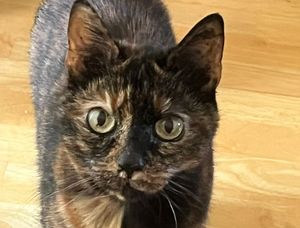 Prudence