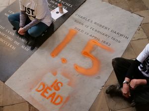 Supporting image for story: Just Stop Oil protesters charged over spray-paint on Charles Darwin’s grave