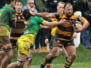 Supporting image for story: Wolves boys pack a punch