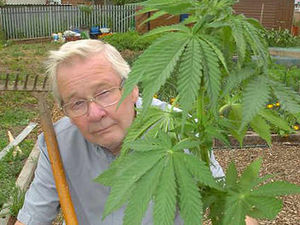 Supporting image for story: Think you have got a weed problem?