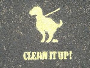 Supporting image for story: Dog owner fined for failing to clean mess