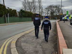 Supporting image for story