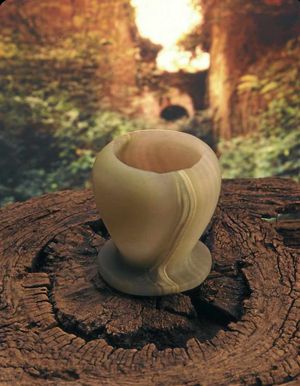 Hawkstone Parks chalice  could it be the true Holy Grail?