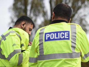 Supporting image for story: Arson, burglary and weapons possession - rising number of children under 10 committing crimes