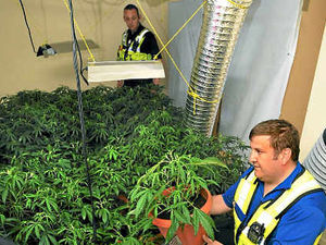 Supporting image for story: £21,000 Darlaston cannabis factory raided