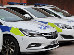Supporting image for story: Police's heatwave warning after reports of youths setting fires in Telford
