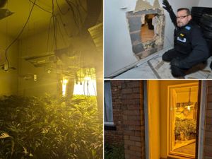Supporting image for story: Why one team of Telford crime fighters won't stop at £3m of cannabis taken off the streets