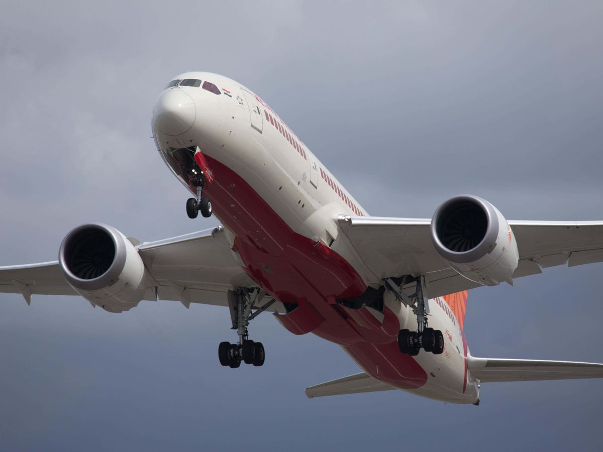 Bird strike may have caused Air India crash – expert