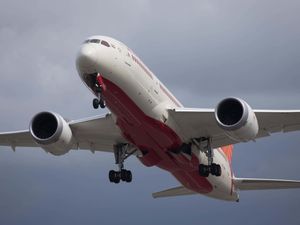 Supporting image for story: Bird strike may have caused Air India crash – expert