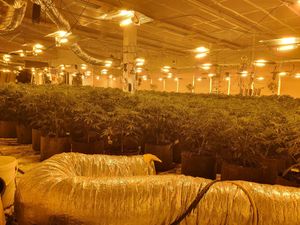 The seized plants and equipment