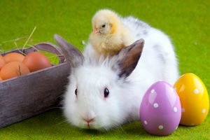 Easter 2019