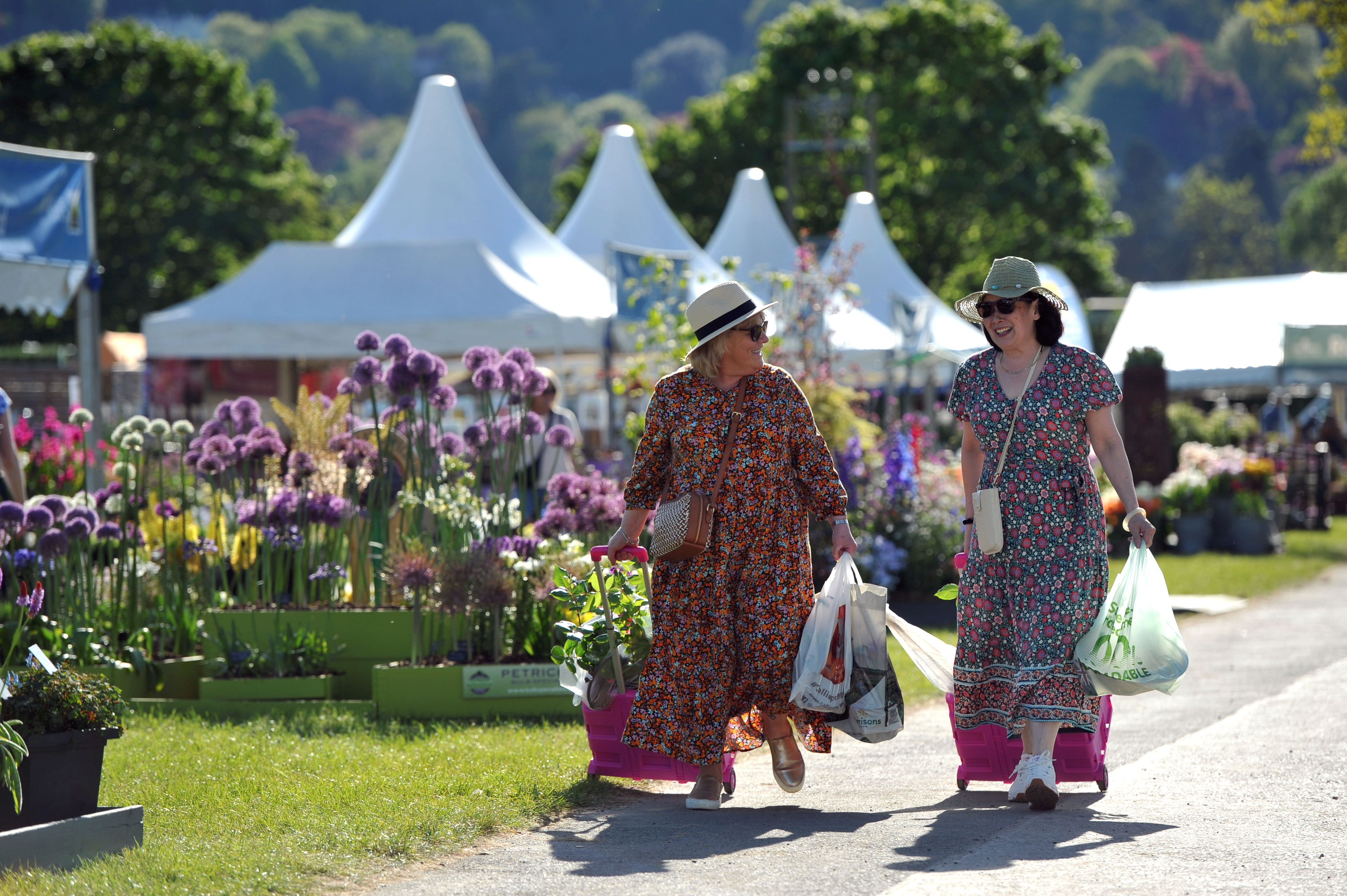 RHS Malvern Spring Festival 