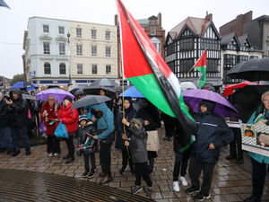 Supporting image for story: Vigil in Wolverhampton brings hundreds to plead for peace in Palestine
