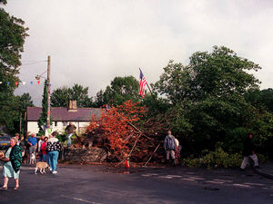 Supporting image for story: Flashback to 1995
