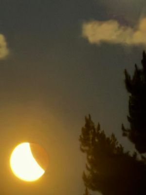 Photo: Jayne Simpson