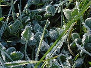 Supporting image for story: Severn Trent urges householders tosafeguard water pipes