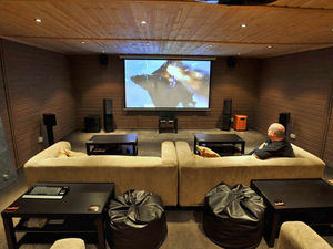 Supporting image for story: Garden shed cinema is movie buff's dream