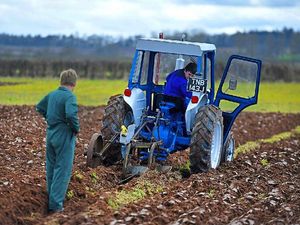 Supporting image for story: Government ‘chocolate box image of countryside’ is failing rural areas – report