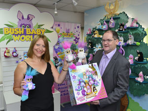 Supporting image for story: Telford toy maker's latest line 'best-selling since Teletubbies'