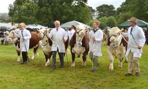 Burwarton Show