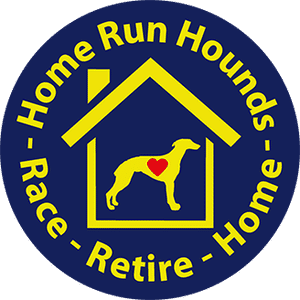 To book your greyhound in to donate blood, please call Home Run Hounds 07488 253537