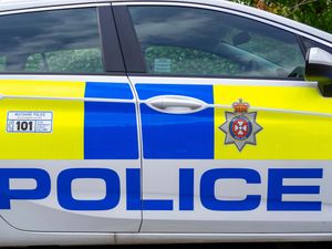 Supporting image for story: Person arrested on suspicion of arson after fire at First World War airfield