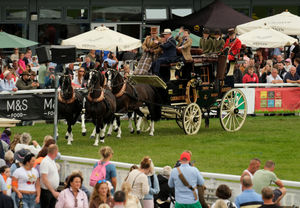 The Royal Welsh Ambassador and Tristar Carraige Driving demonstration in the main ring on the showground. Image by Andy Compton