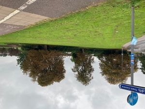 Supporting image for story: Council sells off green space for housing despite 1,000-strong petition