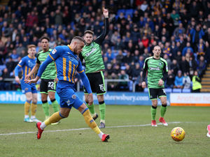 Supporting image for story: Shrewsbury Town 1 Plymouth 2 - Report and pictures