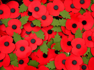 Supporting image for story: Telford vicar sparks fury over refusal to wear poppy