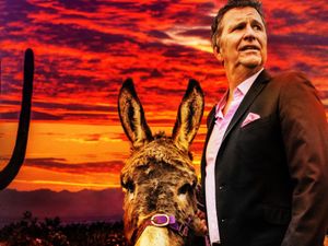 Supporting image for story: Dudley, Birmingham, Wolverhampton, Telford and Shrewsbury dates for Stewart Francis