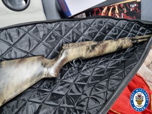 Three imitation firearms and 20 bottles of illegally imported alcohol were seized