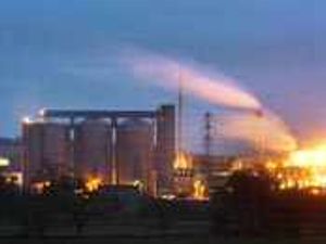 Supporting image for story: Is biofuel the future for farmers?