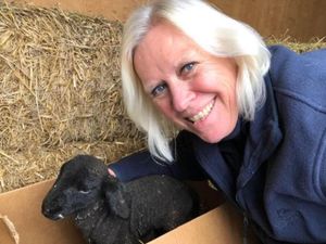 Supporting image for story: Man accused of murder and attempted murder appears in court