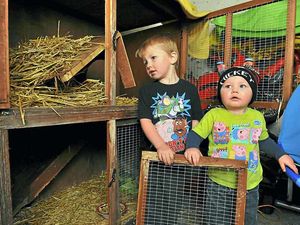 Supporting image for story: Telford toddlers left distraught by theft of their rabbits