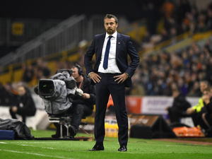 Supporting image for story: Fulham v Wolves: Inside track on The Cottagers