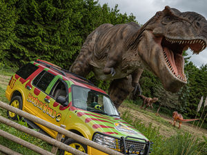 Supporting image for story: Telford's Hoo Zoo plans a 'Dino-mania' weekend