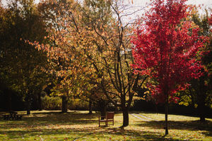 Dorothy Clive Garden near Market Drayton open weekend