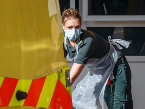 Supporting image for story