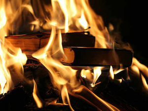 Supporting image for story: Burning books for warmth