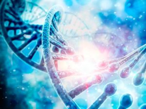 Supporting image for story: 12 of the biggest scientific breakthroughs of 2017 that might just change the world