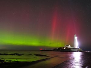 Supporting image for story: ‘Cannibal’ solar storm could be biggest to hit planet for 20 years, experts warn