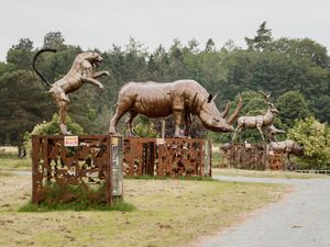 Supporting image for story: Cooks and crafter will get a helping hand at free homemade festival