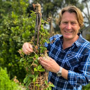 TV gardening star David Domoney