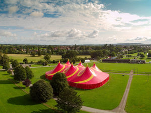 Supporting image for story: Shrewsbury Folk Festival will be tribute to founder Alan Surtees