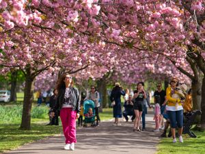Supporting image for story: Easter Sunday brings warm sunshine before temperatures drop over next week