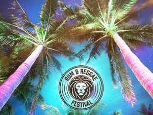 Supporting image for story: Rum and Reggae Festival coming to Birmingham