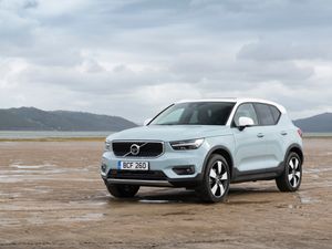 Supporting image for story: Solid chip off an excellent block